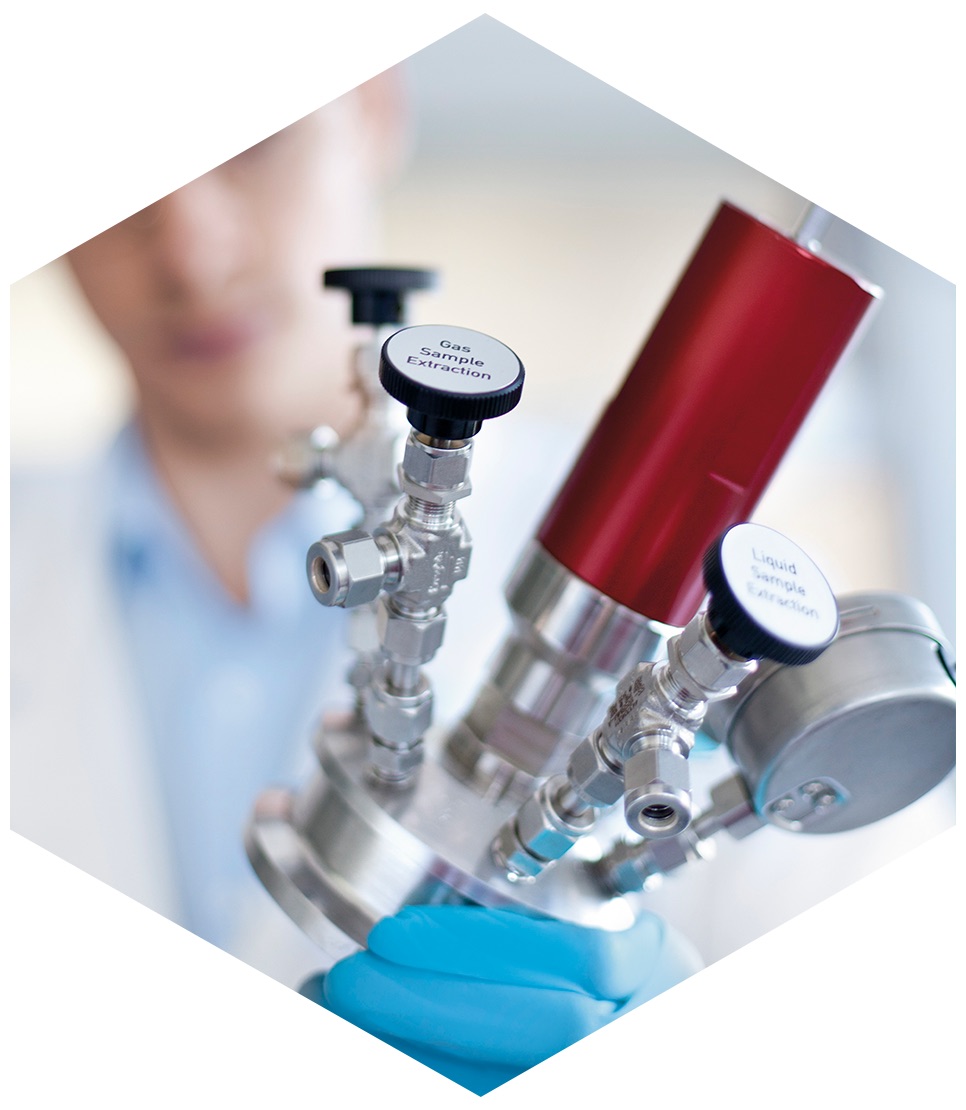 Berghof high pressure reactor BR