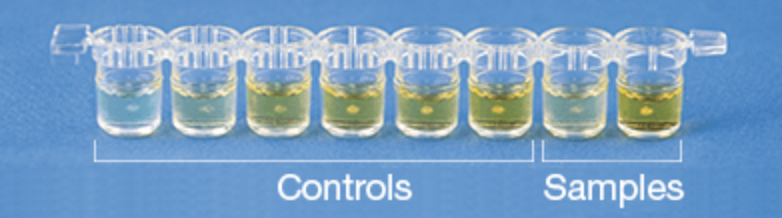 Screenshot 2021-09-12 at 11.59.31 PM