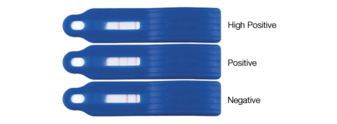 Screenshot 2021-09-12 at 5.50.53 PM