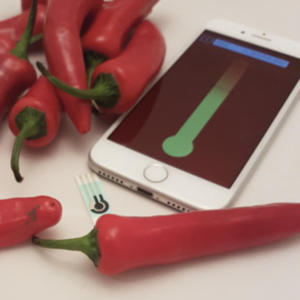Chilli Tester